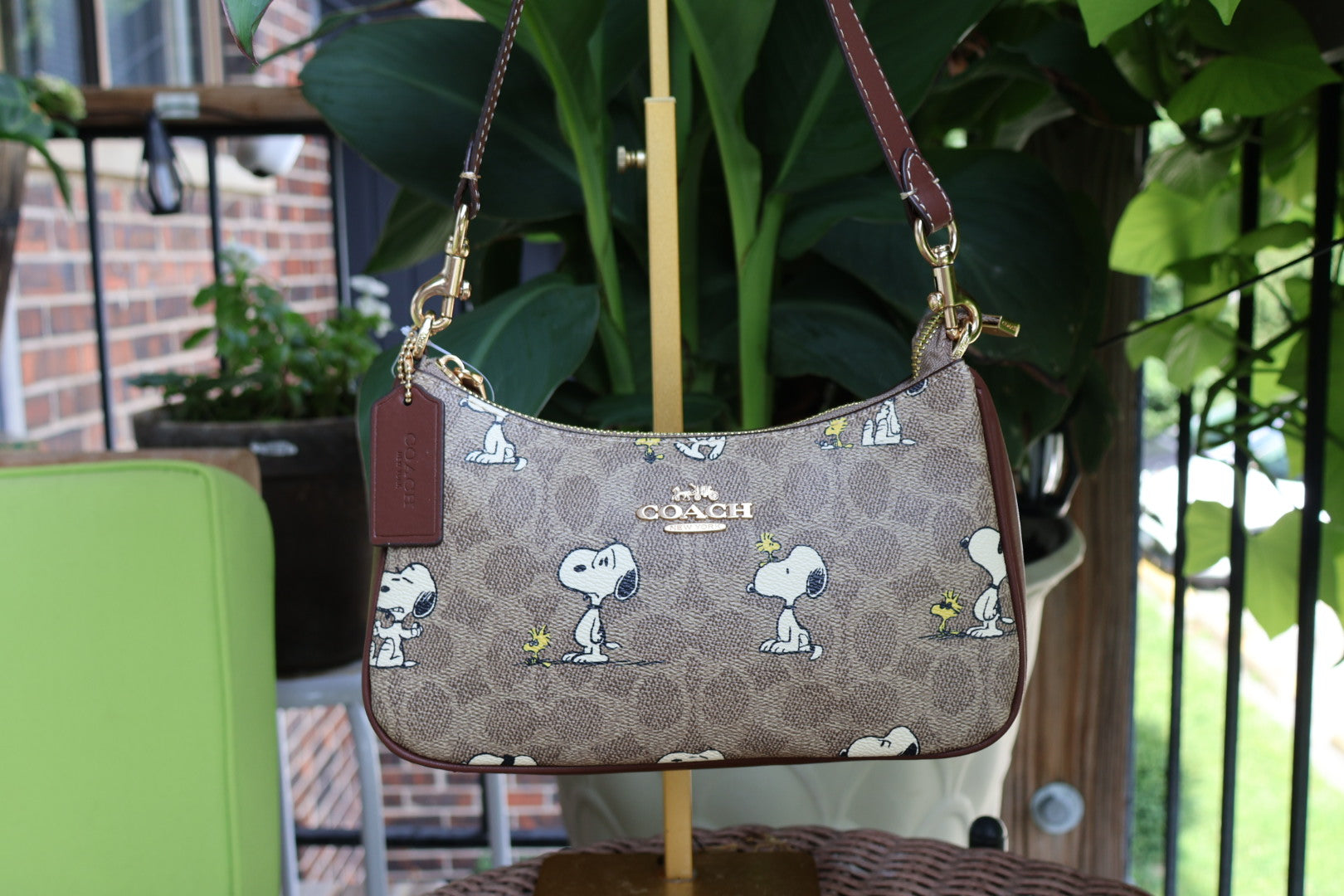 Snoopy Bag